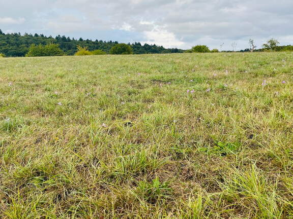 22-09-10 17-58-14 1975